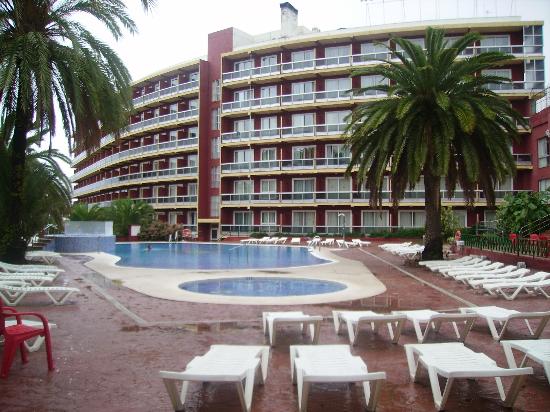 ������� ������� - ����� ��� ���, ����� Las Palomas*** - ������� � ���������� �� �������� ����� � ������������  � ������� �� ������� �� ������� � ������ ����������, ����� �� ��������� ���.